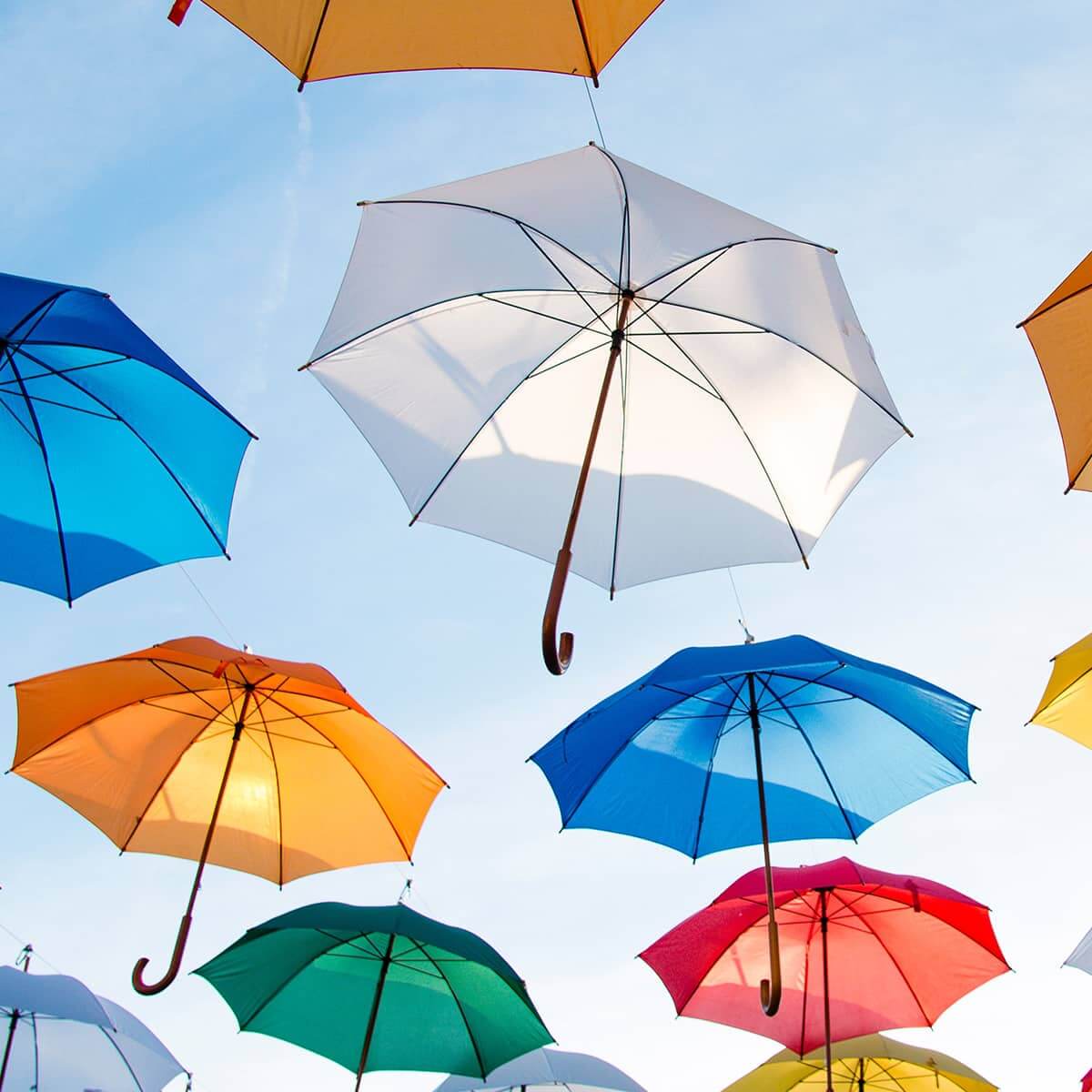 Umbrella Safety Planning Family and Youth Justice Programs