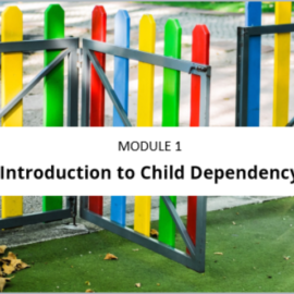 Module 1: Introduction to Child Dependency