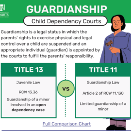 Guardianship Infographic