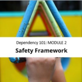 Module 2: Safety Framework