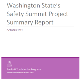 Washington State Safety Summit Project Summary Report