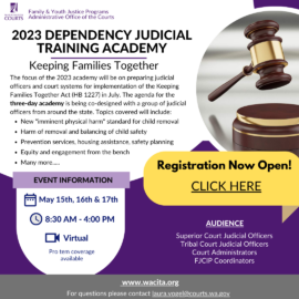 2023 Dependency Judicial Training Academy