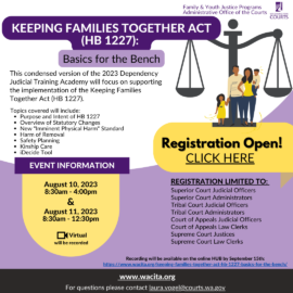 Keeping Families Together Act: Basics for the Bench