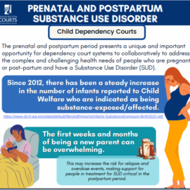 Prenatal and Postpartum Substance Use Disorder Infographic