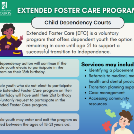 Extended Foster Care Program Infographic