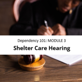 New Shelter Care Hearing Module