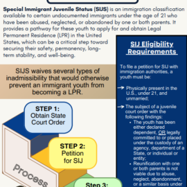 SIJS Infographic