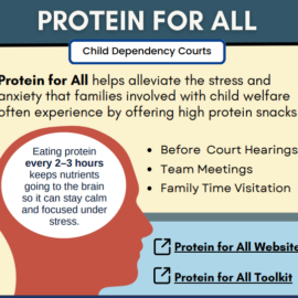 Protein for ALL Infographic